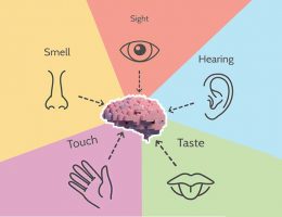Keys to making Architecture memorable - Involve the senses