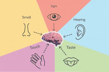 Keys to making Architecture memorable - Involve the senses