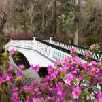 15 PLACES IN CHARLESTON-MAGNOLIA PLANTATION - sheet2