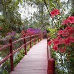 15 PLACES IN CHARLESTON-MAGNOLIA PLANTATION - sheet3
