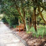 15 PLACES IN CHARLESTON-MIDDLETON PLACE - sheet2