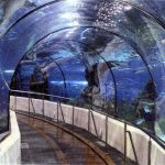 15 PLACES IN CHARLESTON-SOUTH CAROLINA AQUARIUM - sheet1