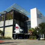 15 PLACES IN CHARLESTON-SOUTH CAROLINA AQUARIUM - sheet2