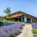 Modern Vineyard House by Adeeni Design Group - Sheet7