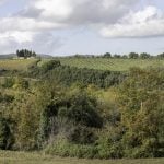 Redevelopment of Castel San Gimignano cemetery By Microscape Architecture + Urban Design - Sheet1