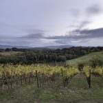 Redevelopment of Castel San Gimignano cemetery By Microscape Architecture + Urban Design - Sheet2