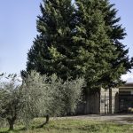Redevelopment of Castel San Gimignano cemetery By Microscape Architecture + Urban Design - Sheet3