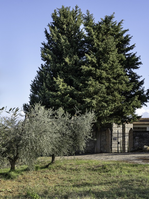 Redevelopment of Castel San Gimignano cemetery By Microscape Architecture + Urban Design - Sheet3