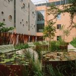 15 PLACES IN JOHANNESBURG - NELSON MANDELA CHILDRENS HOSPITAL - sheet3