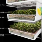 FUTURE OF FARMING- AEROFARM - sheet3