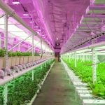 FUTURE OF FARMING- FARM 360 - sheet1