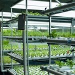 FUTURE OF FARMING- FARM 360 - sheet2
