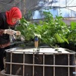 FUTURE OF FARMING- GAZA HYDROPONICS - sheet5