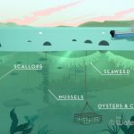 FUTURE OF FARMING- GREENWAVE - sheet4