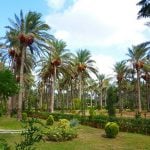 15 PLACES IN ALEXANDRIA - Montazah Gardens - sheet1