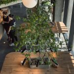 OM NOM NOM – FUTURA HUB by replus design bureau - Sheet7
