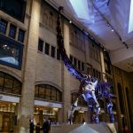 15 PLACES IN TORONTO - ROYAL ONTARIO MUSEUM - sheet3