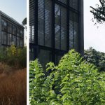Aldonha House Studio Matter Architects Goa 3