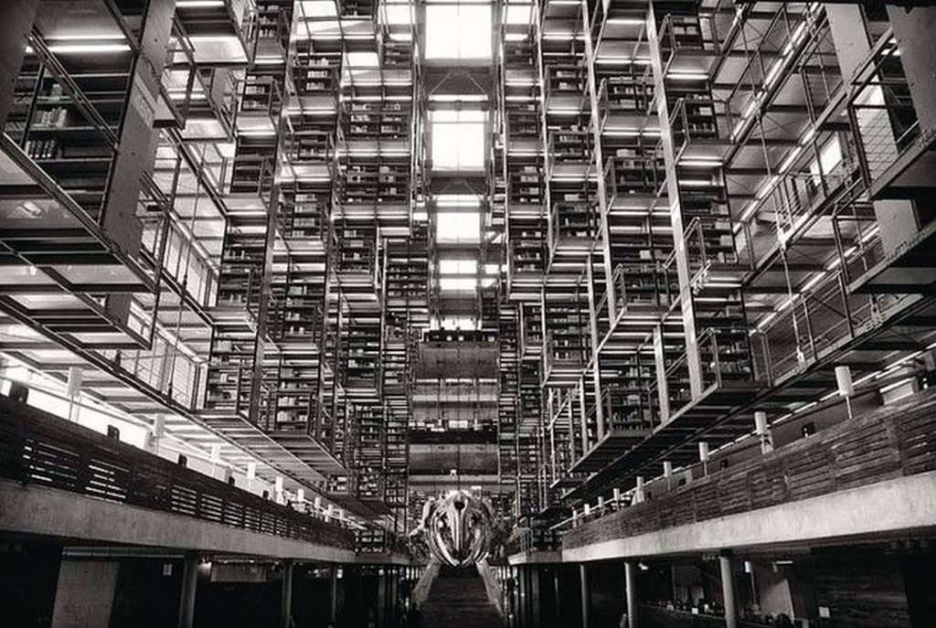Public library of Mexico by T.A.X. Architects