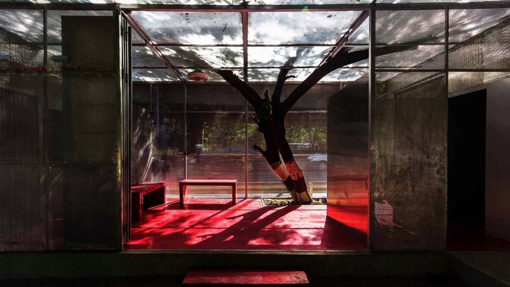 The Light Box by Rohan Chavan