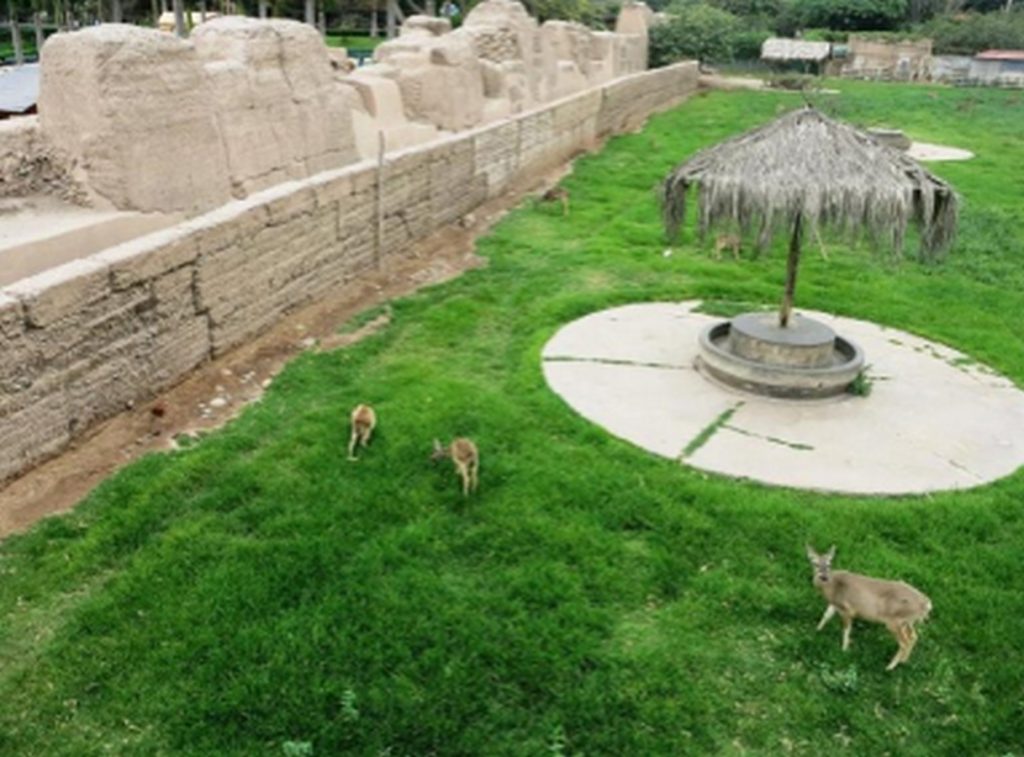 Places to visit in Lima, Peru-ParkOfLegendsZoo - Sheet26