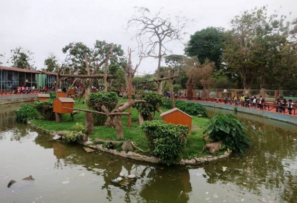 Places to visit in Lima, Peru-ParkOfLegendsZoo - Sheet28