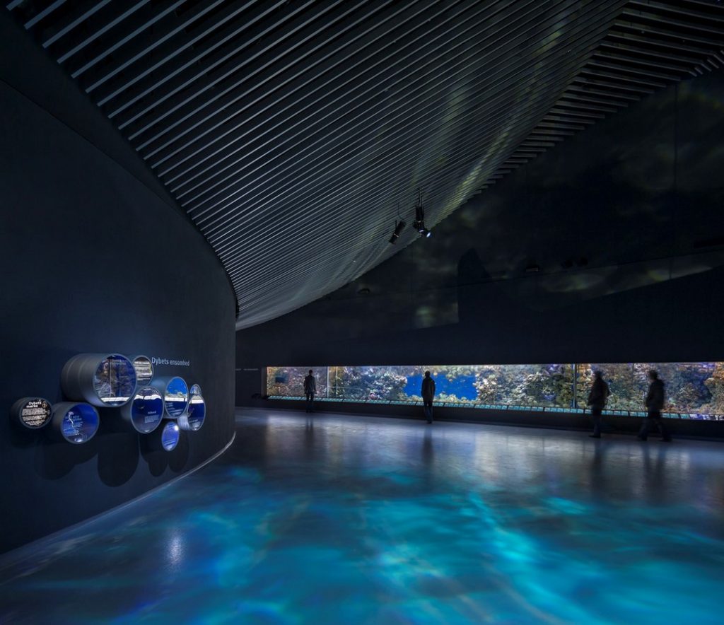 15 Places to visit in Copenhagen-NationalAquarium - 3