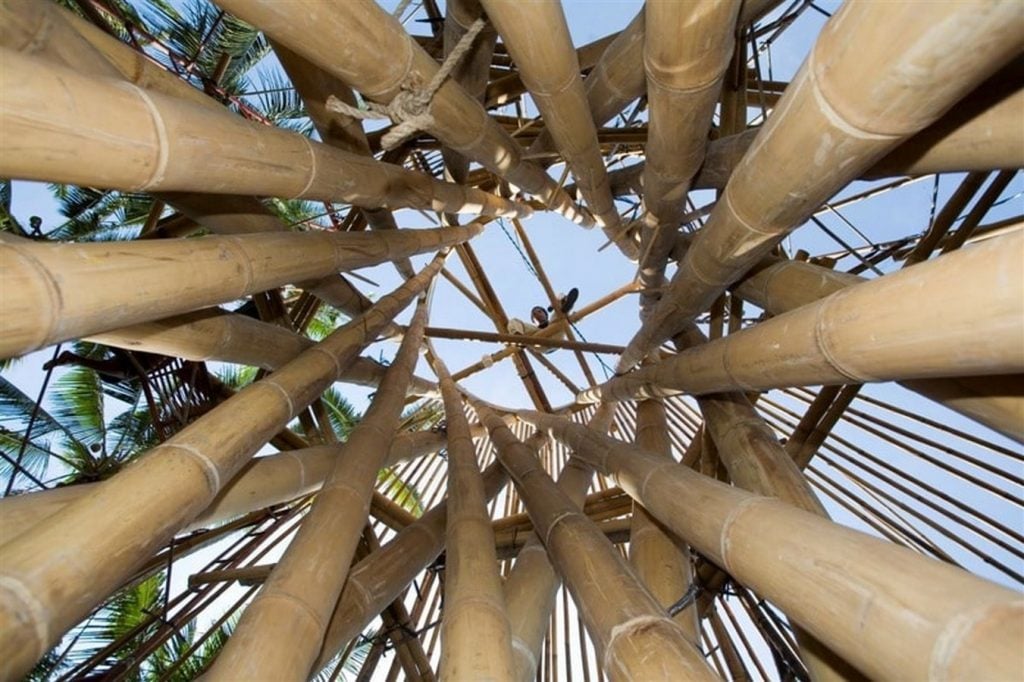 Ellora Hardy, A Non-Achitect Creating Alternatives -7