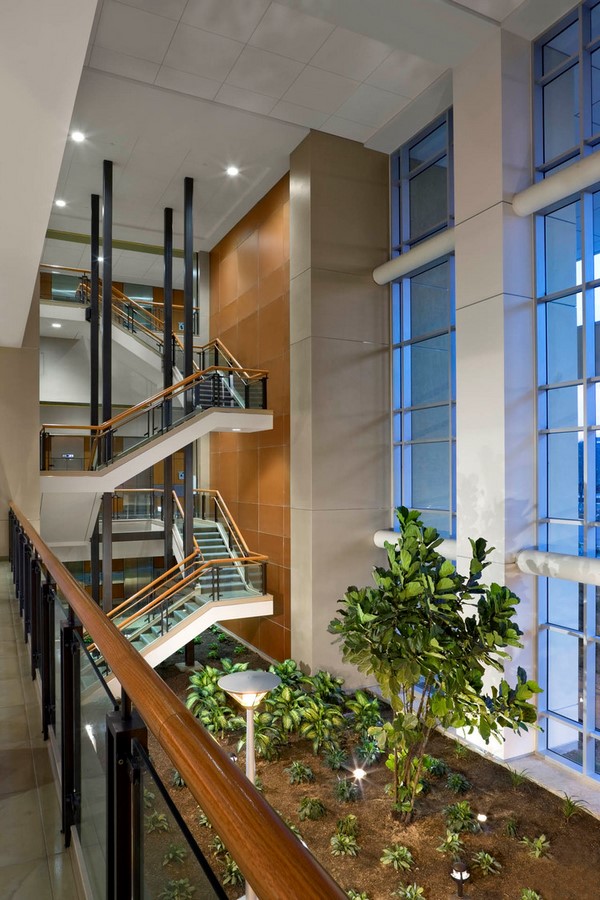 Iconic Projects-FKP Architects-MEDICAL ART -1