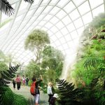 Places to Visit-Dongguan-BotanicalGarden -1