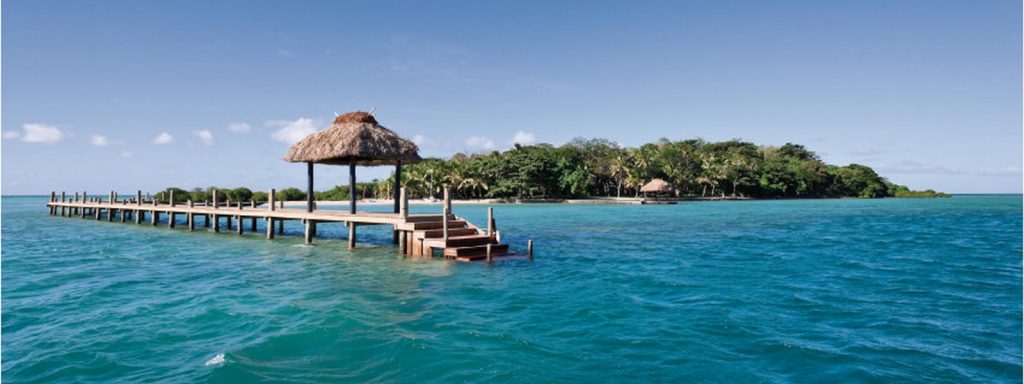 Places to visit in Fiji-Dolphin Island -2