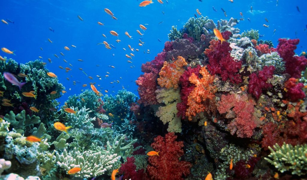 Places to visit in Fiji