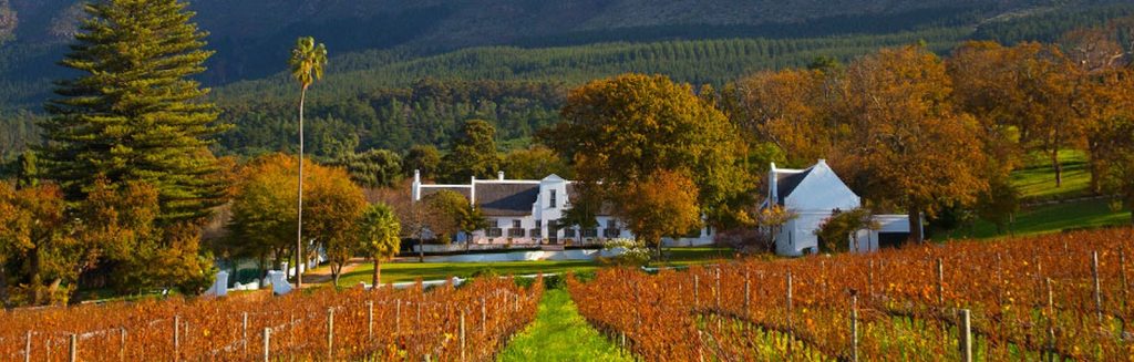 Klein Constantia Wine tasting & Bistro, Constantia by Malherbe Rust Architects