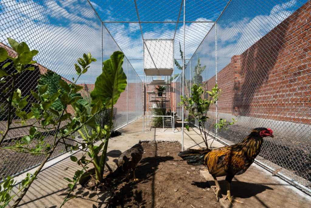 Women in Architecture-Tran Thi Ngu Ngon-Chicken House -2