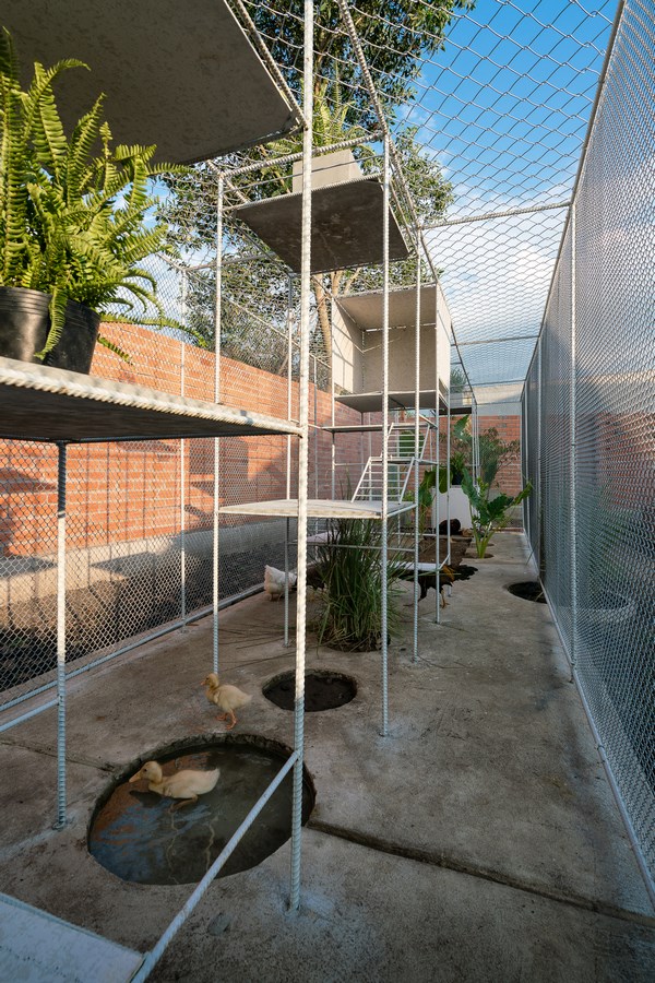 Women in Architecture-Tran Thi Ngu Ngon-Chicken House -3