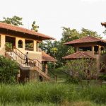 Chitra Vishwanath-Govardhan Eco Village -3