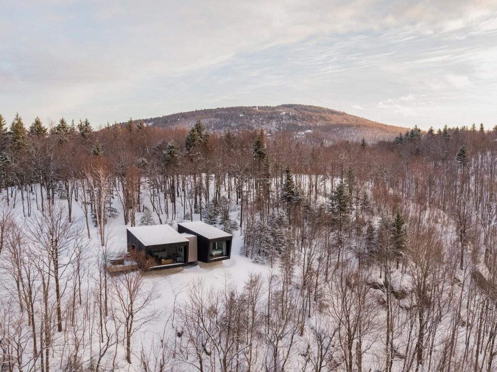 Nature Humaine