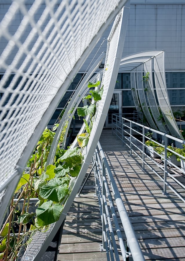 Architects in Montreal- Top 75 Architecture Firms in Montreal - Sheet64