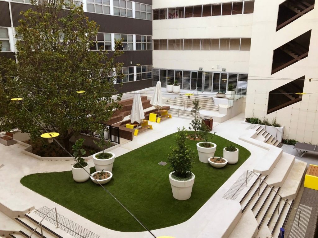 Magnolia Courtyard, North Sydney
