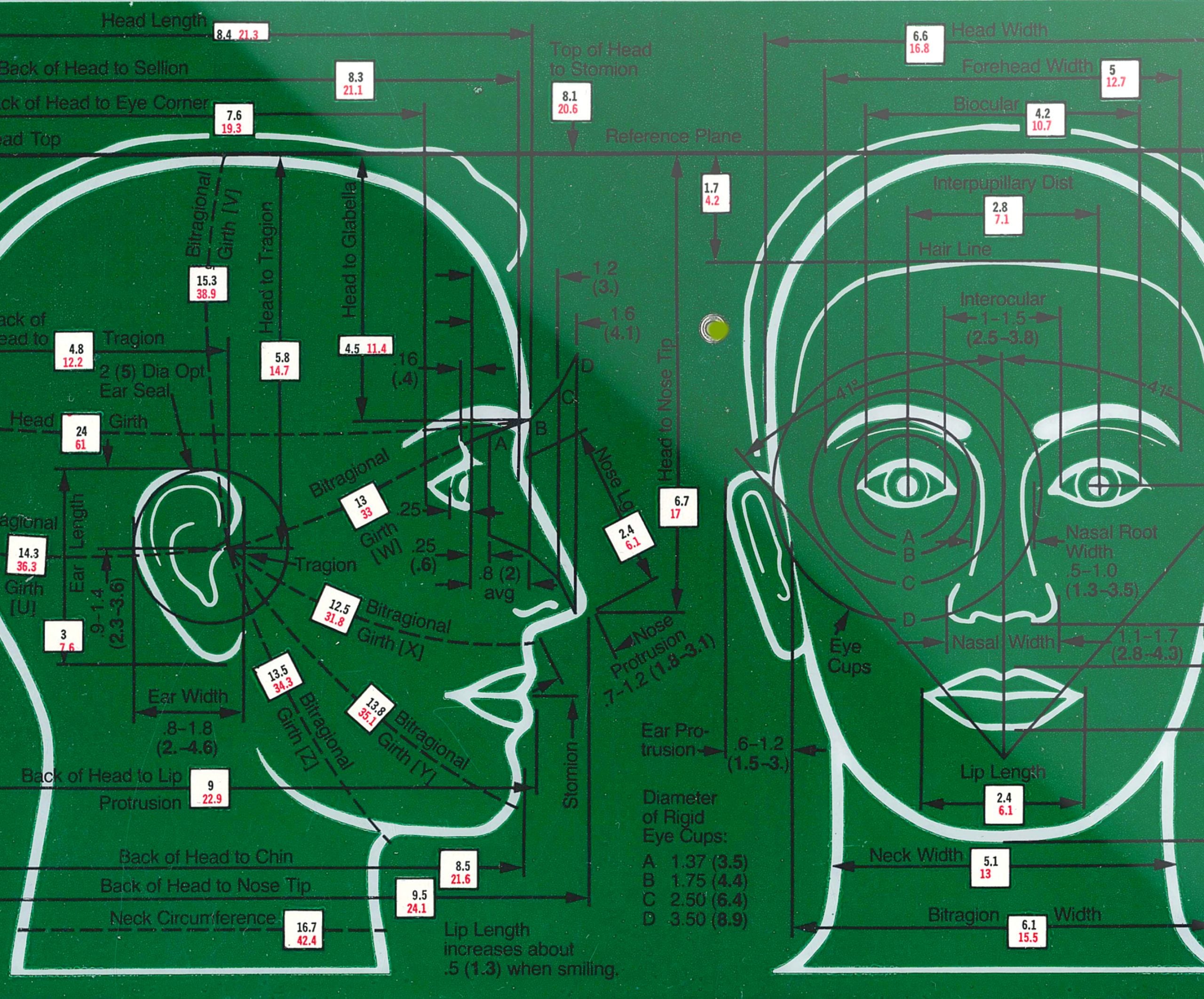 Selector_6a._Head_and_Vision_