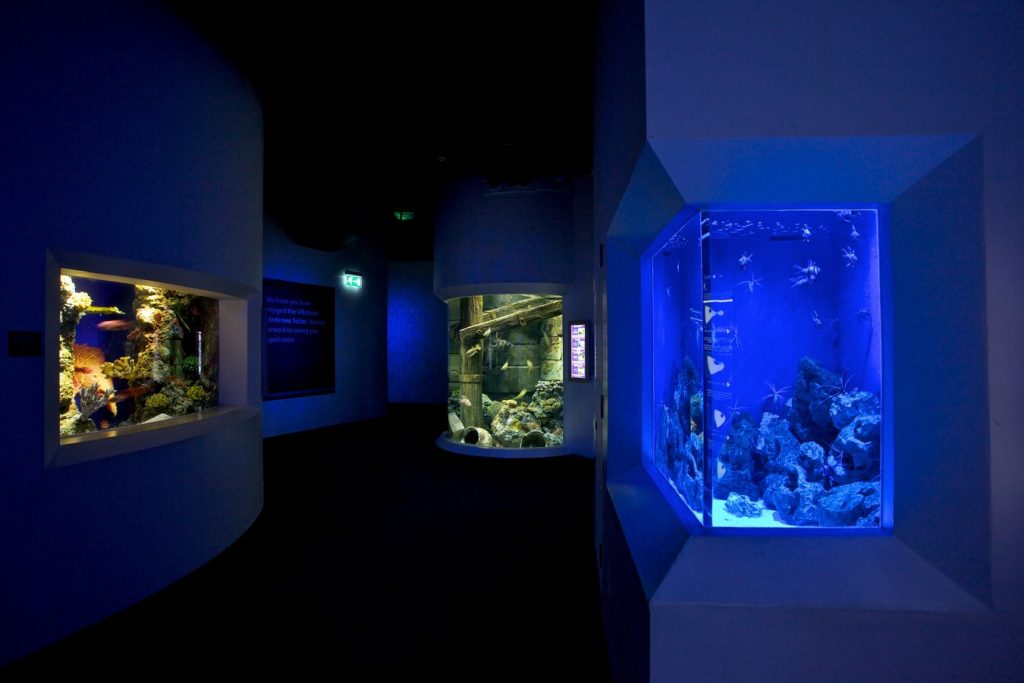 Bristol Aquarium