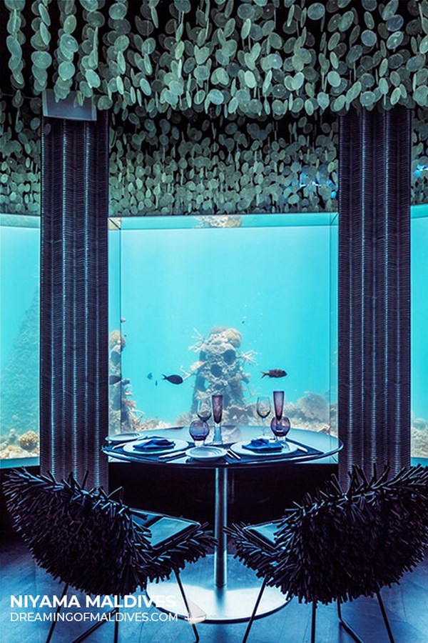 underwater architecture thesis