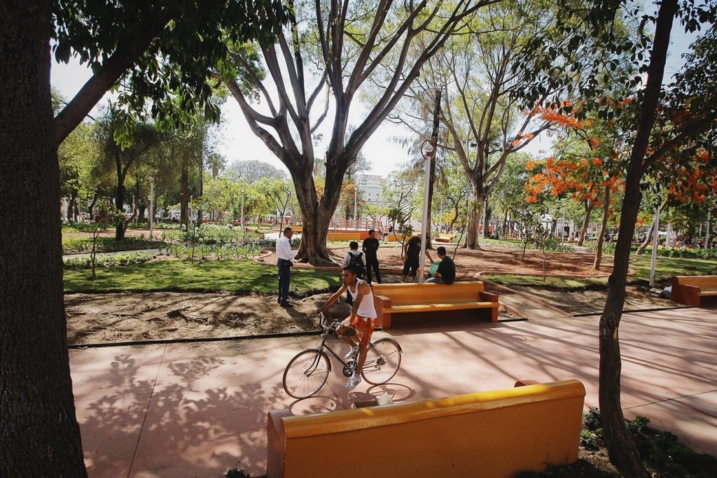 PARQUE REVOLUCION -3