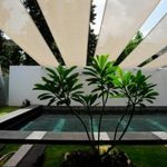 Malik Architecture- Pune -1