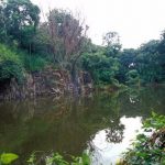 Prabhakar Bhagwat- Timba Quarry -2