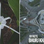 10 Facts You Did Not Know About Bhurj Khalifa - Rethinking The Future