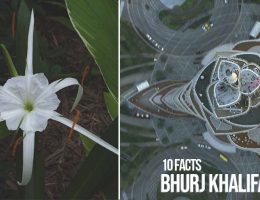 10 Facts You Did Not Know About Bhurj Khalifa - Rethinking The Future