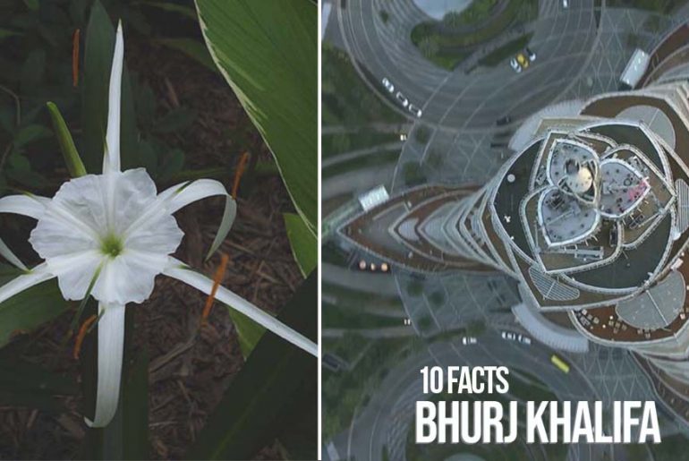 10 Facts You Did Not Know About Bhurj Khalifa - Rethinking The Future