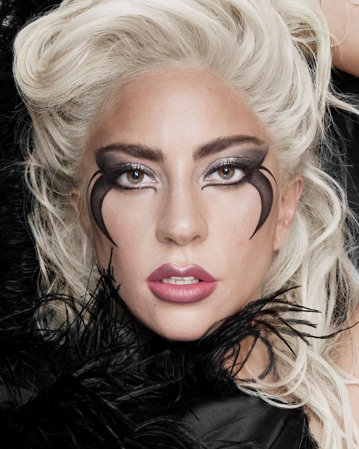 Lady Gaga as an architect -1