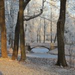 Pushkin-Alexander Park -3